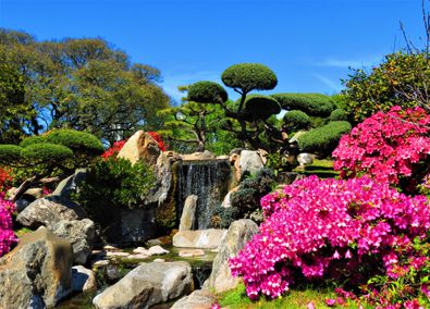 landscape of waterfall flowering trees and bonsai 1177252009 c3d63636068547d8bede32cb2177ace8