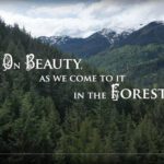 Artist Barbara Brown, Film Showing & Book Reading at Gallery 444, Nelson