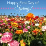 Happy Spring
